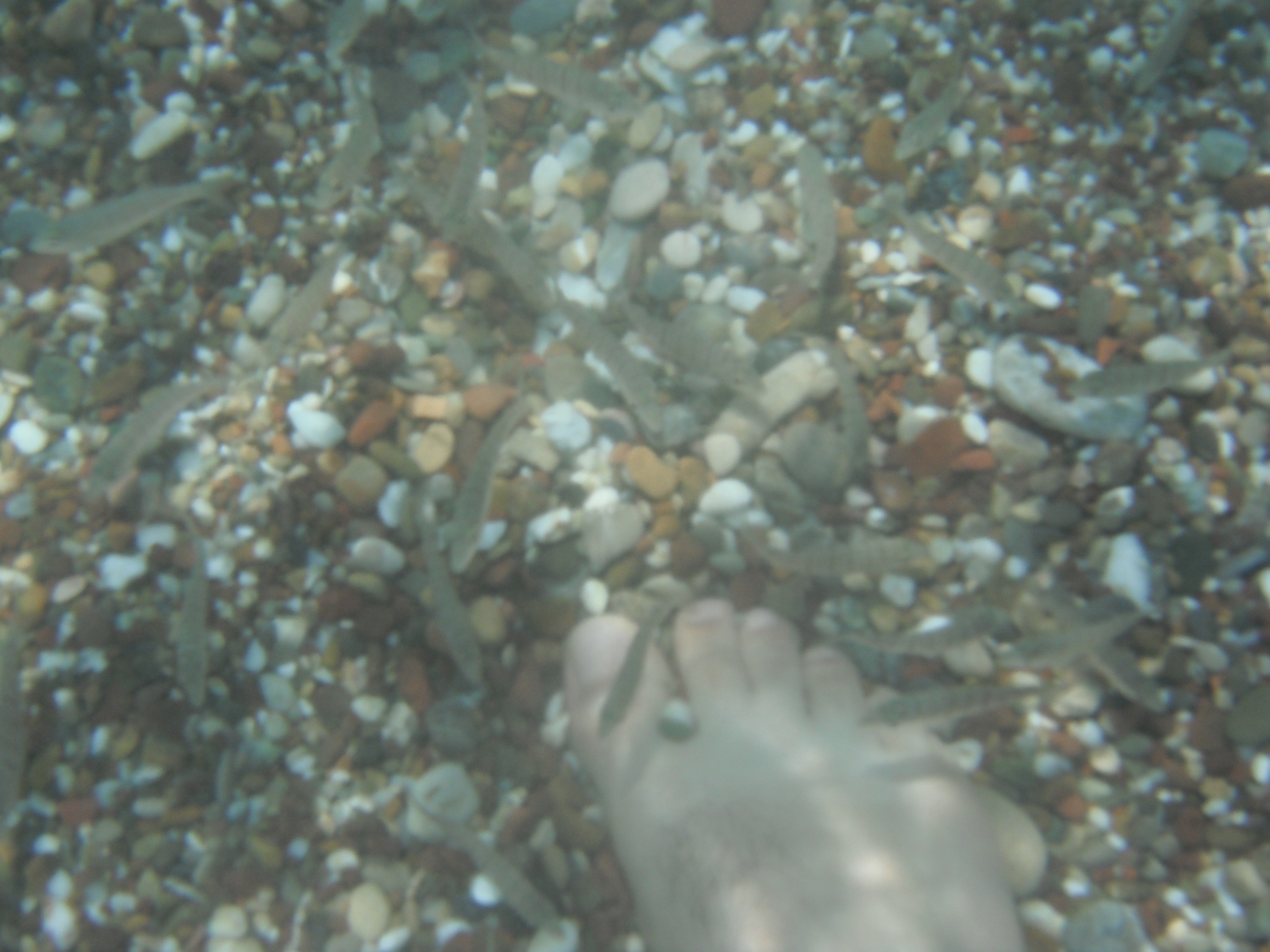 Antalya K�pr�l� Kanyon Tekne Turu