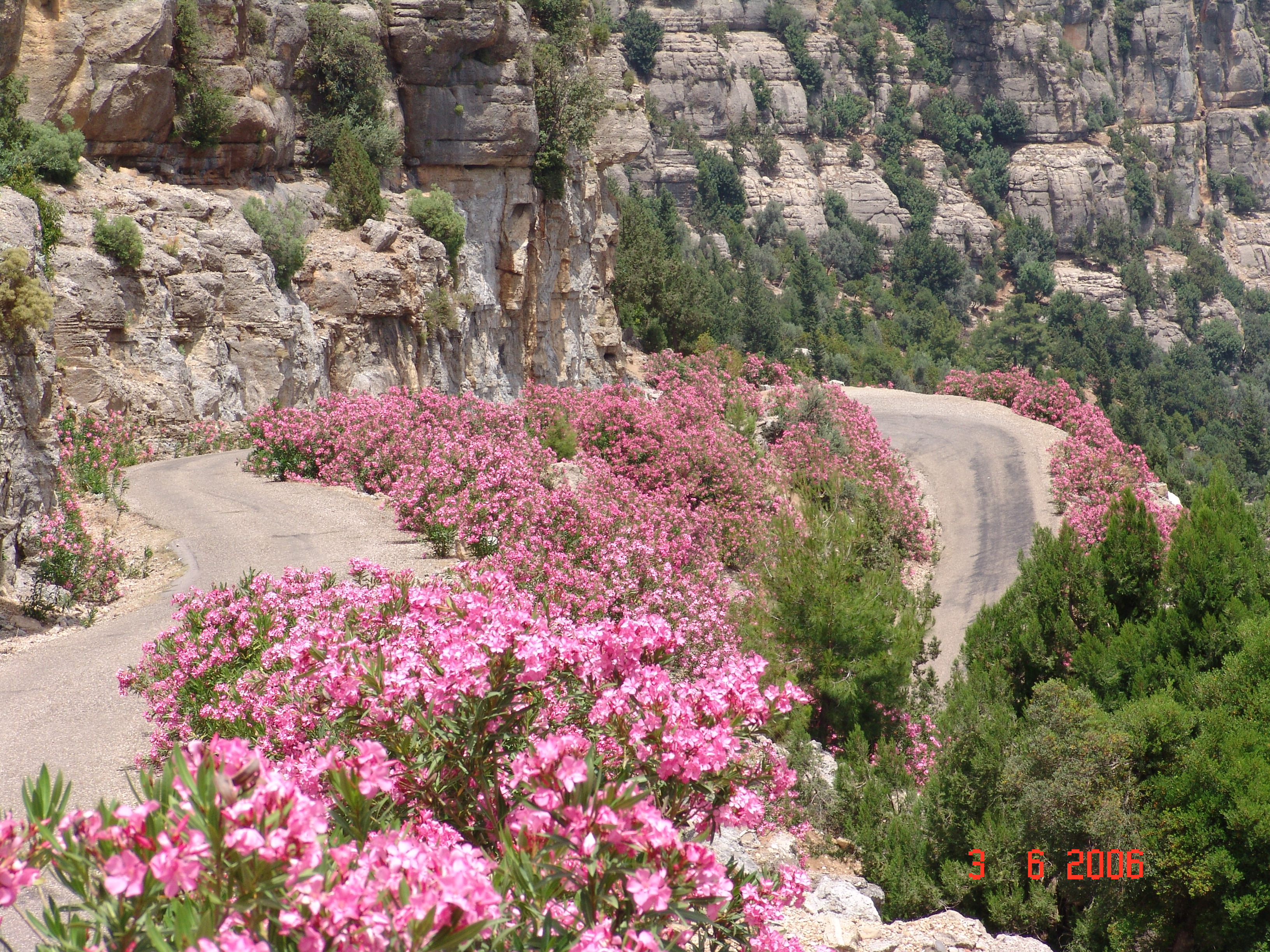 Antalya K�pr�l� Kanyon Trekking Do�a Y�r�y��� ve K�y Turlar�